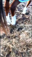 Snador retour Pontchateau 2