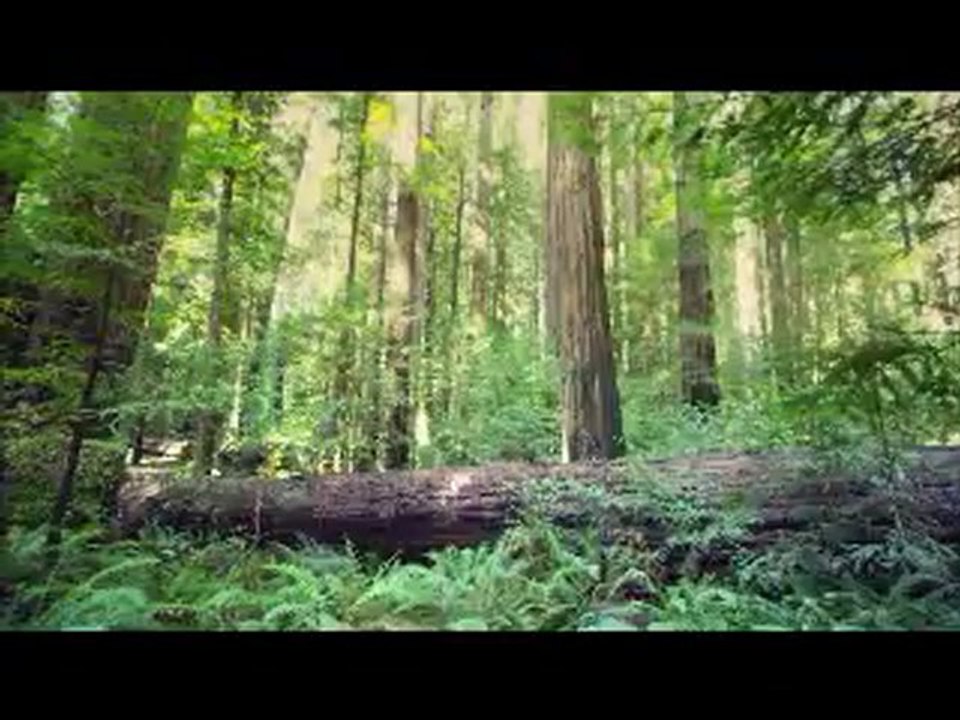 Özkan Kul- Veda Şarkısı (Şiir)