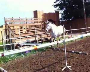 Mystère saut en liberté nov 2012