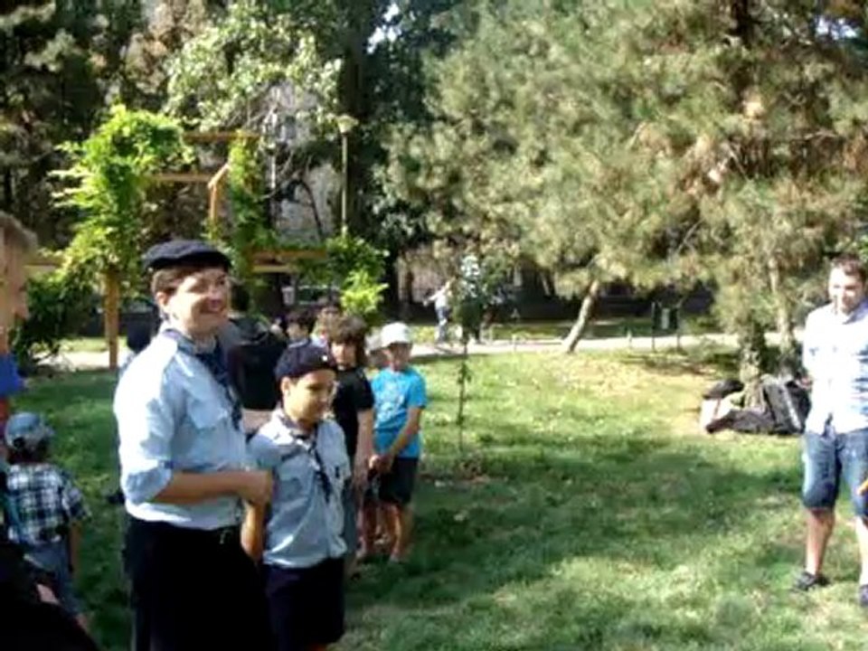 Mattscout