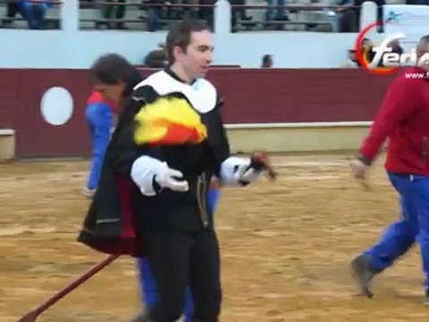 Novillada non piquée St Sever 11 nov. 2012