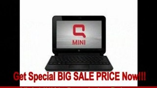 [REVIEW] Pc Wholesale CQ10-688NR Hp Compaq Presario Cq10-688nr Netbook Intel:n455/ia-1.66gulv 1gb/1-dimm 250gb/72