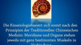 Die Kinesiologie Ausbildung an APAMED Ausbildung in Kinesiologie