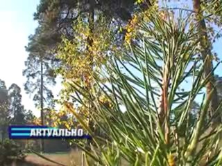 Актуально 08.11.2012
