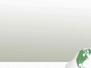 Website Development Services- A Road To E-Business Success