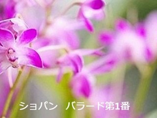 ショパン バラード第1番