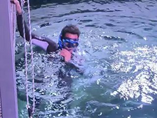 غطس لمدة 45 دقيقة وسط 25 سمكة قرش