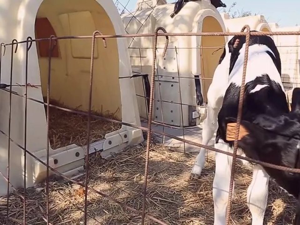 Pierre Reinhart - GAEC de la Marjolaine - Littenheim