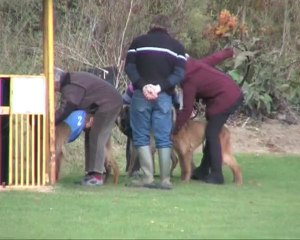 Kassidy Kawhia et Vaydah Entr. Mannevillette