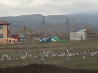 efe aile ve sosyal politikalar müdürü ile