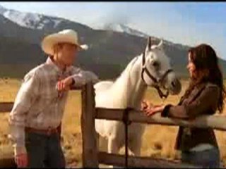 Arabian Horse Association TV