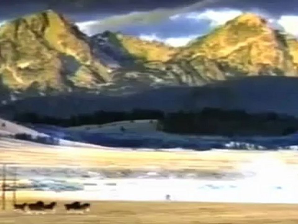 Budweiser Football