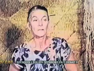 Dr Cac - Pourquoi l'éolien en mer fait-il débat ?