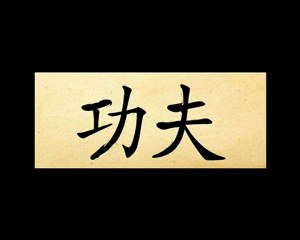 Занятия в школе Кунг Фу. Единоборства в Москве.