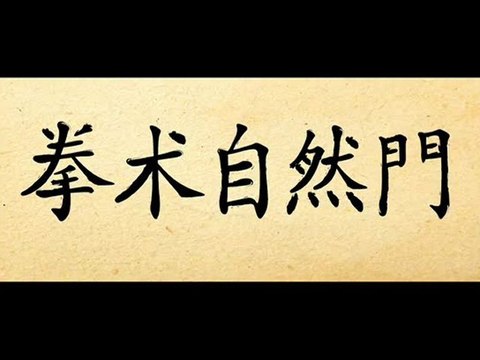 КУНГ ФУ УШУ. Москва. Китайские боевые искусства.