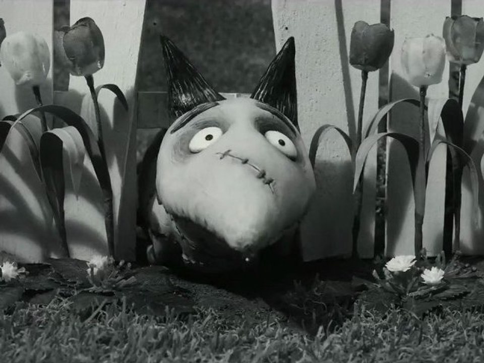 FRANKENWEENIE 3D Spot