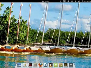 Introducing Rebellin Linux - Adrenaline