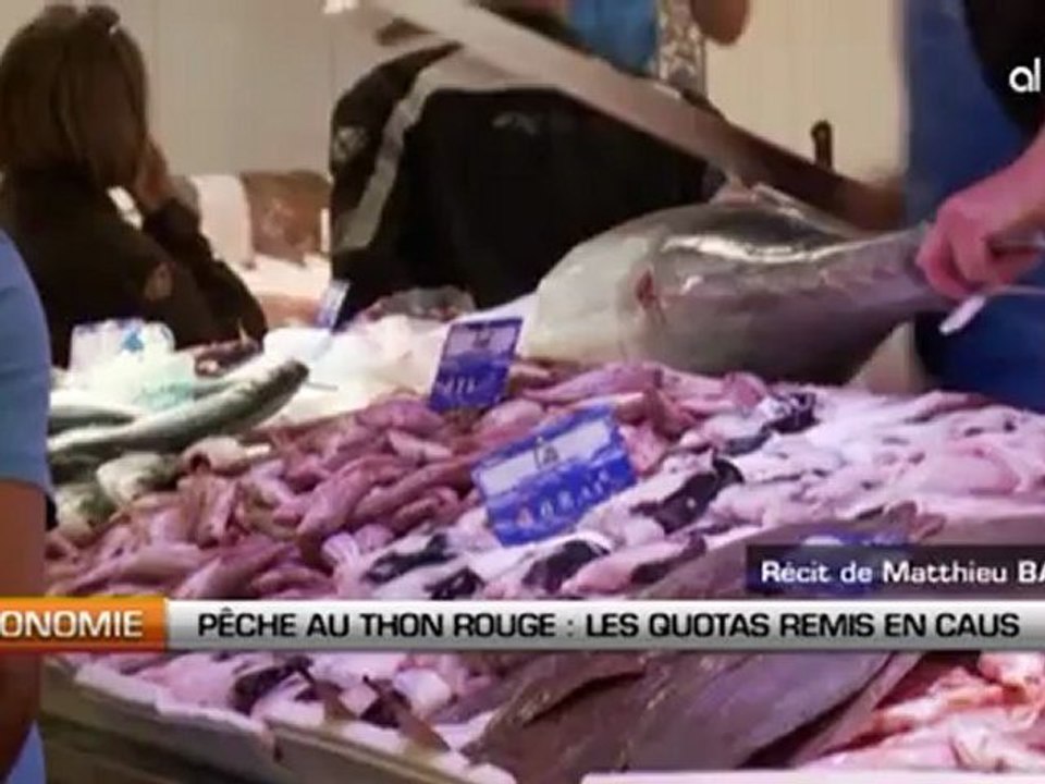 Pêche au thon rouge: Les quotas remis en cause