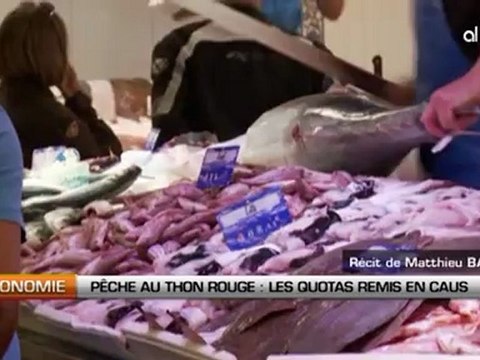 Pêche au thon rouge: Les quotas remis en cause