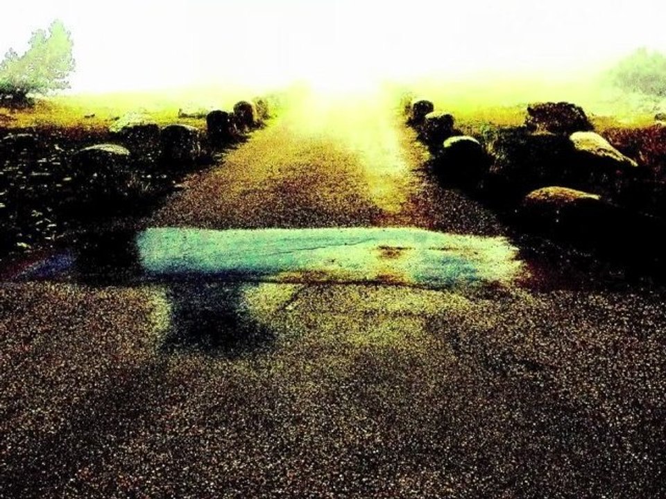 Francois Lemonnier: "She is coming for dinner"