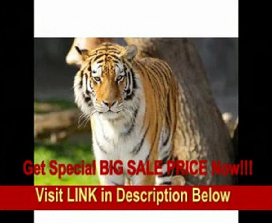 [BEST BUY] Tamron AF 70-200mm f/2.8 Di LD IF Macro Lens for Sony Digital SLR Cameras