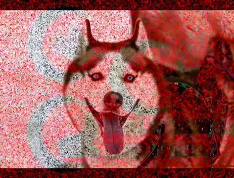 MELEKET DELİSİ cCc ALİ REİS cCc