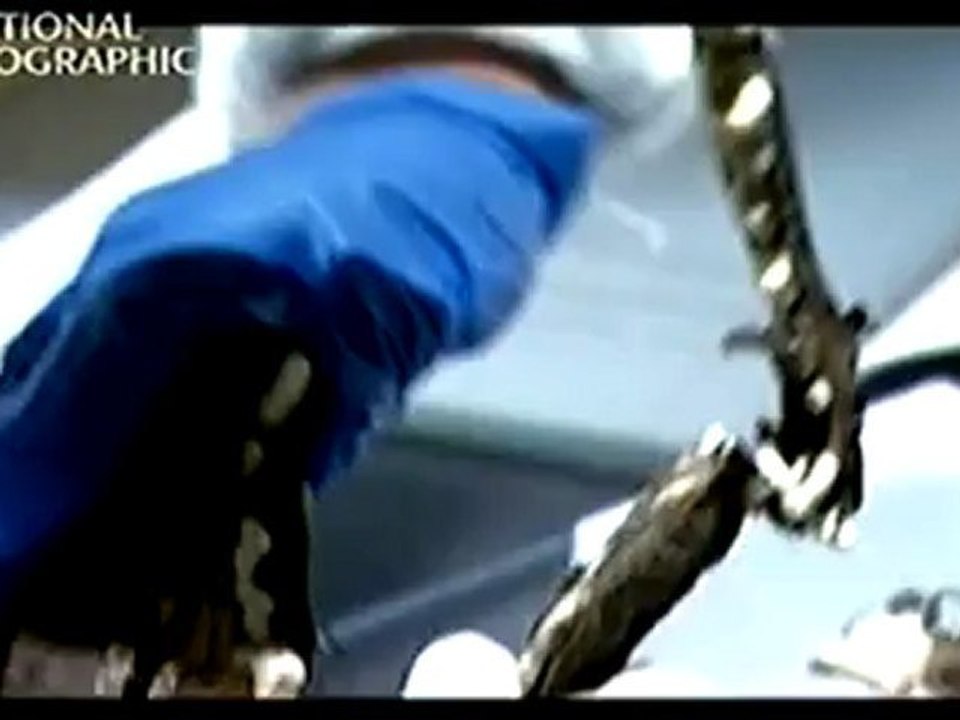 Gizemli Olaylar - Chupakabra