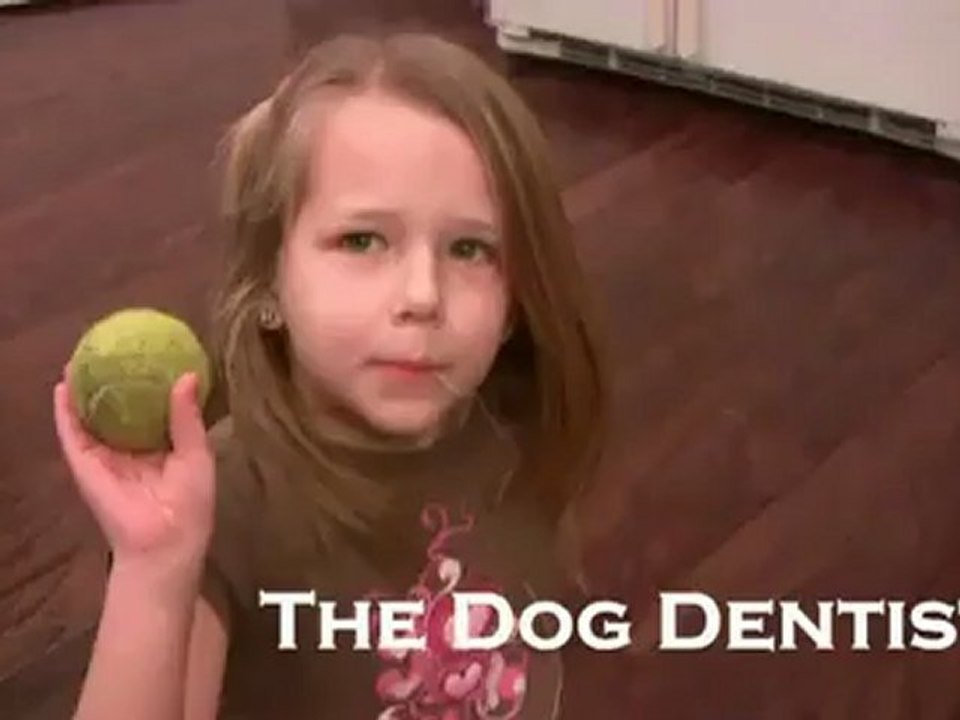 Arracher une dent de lait avec un chien