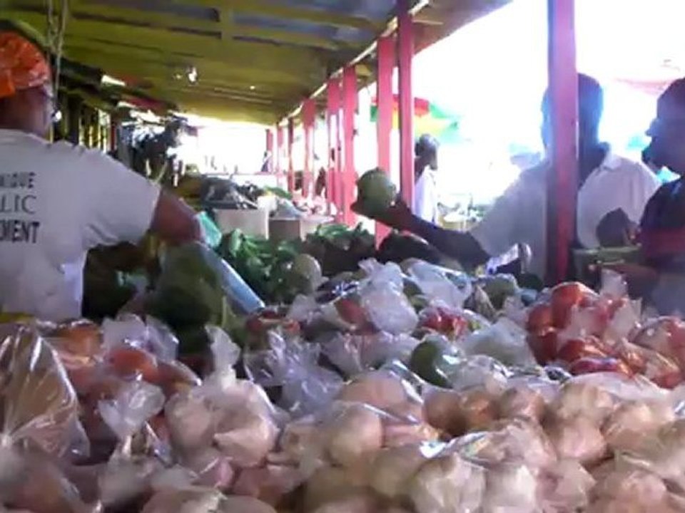 ROSEAU (2)