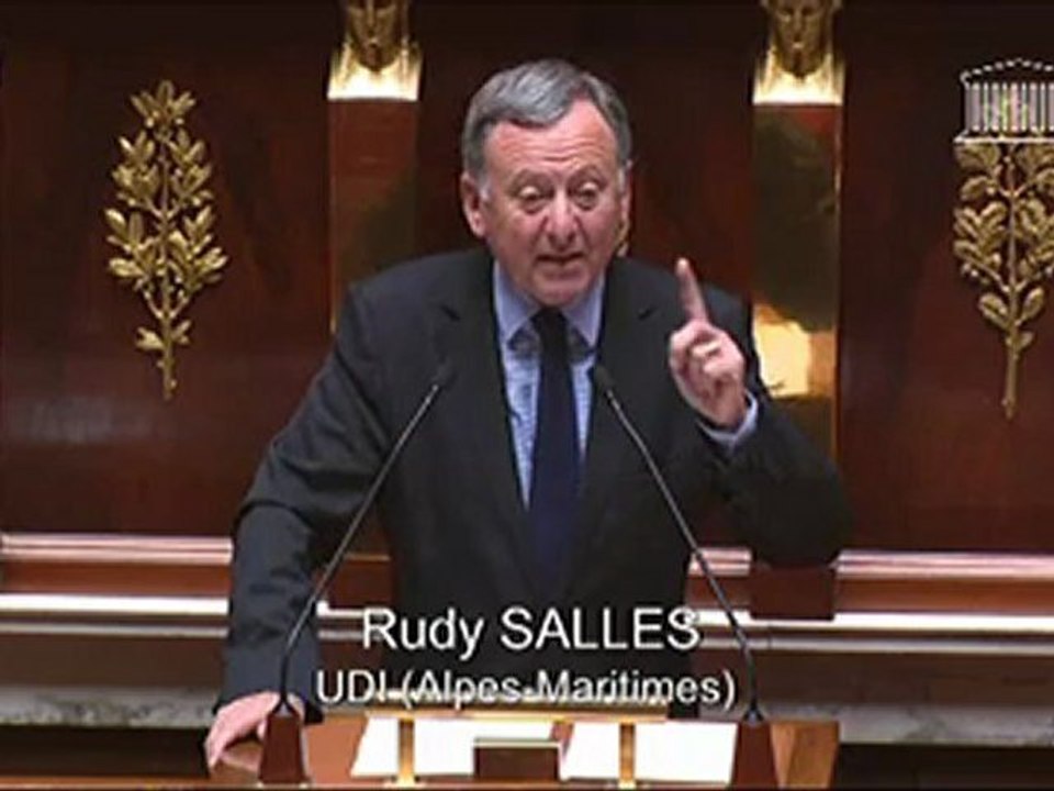 2012.11.12 PLF2013 - explication du vote mission Culture - Rudy SALLES