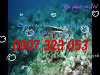 Sửa nhà,sơn nước giá rẻ tại quận 8 hcm call 0936 890 585