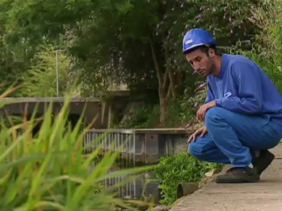 Les îlots de survie du SIAAP