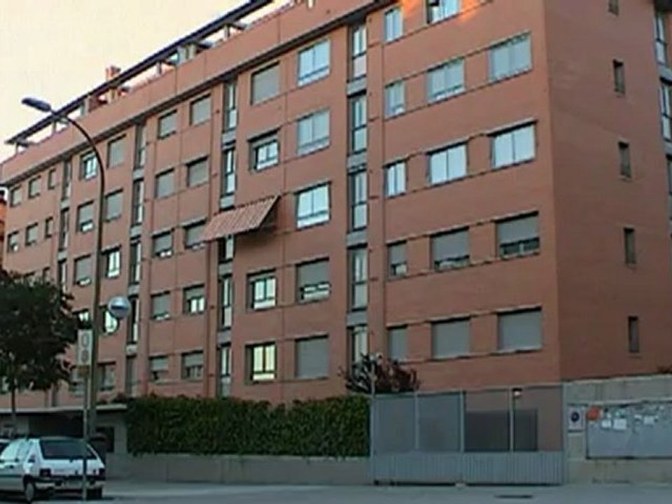Cerdo