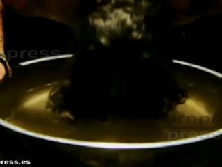 Kings of Leon y Editors se suman al Bilbao BBK Live 2013