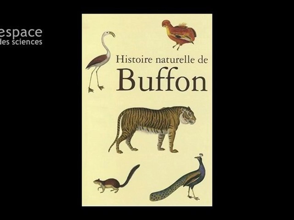 Georges Buffon
