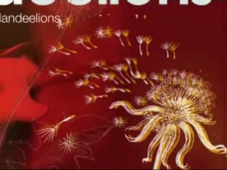 Clip_Time is running out