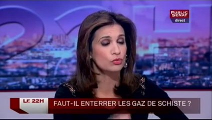 LE 22H,Invité: Yannick Jadot