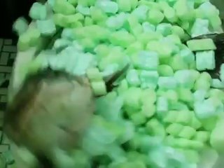 Midnight Spin - Neuroin (Official Music Video)