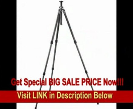 [REVIEW] Gitzo GT2531 Series 2 6X Carbon Fiber 3-Section Tripod with G-Lock - Replaces GT2530