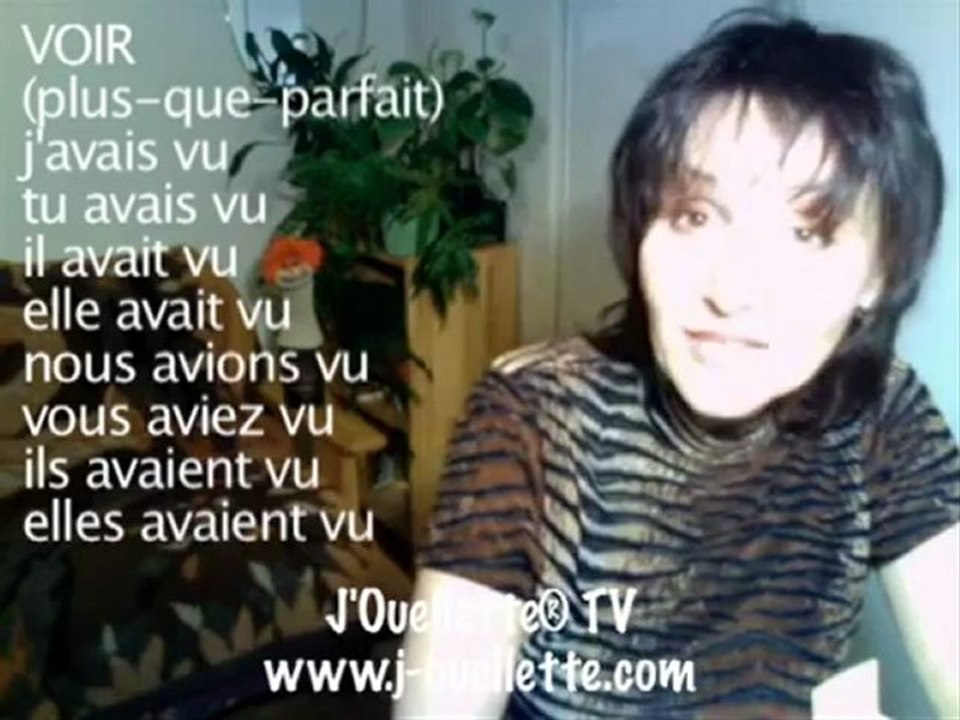 Learn Parisian French on Skype - Getting to Paris: verb Voir (to see)