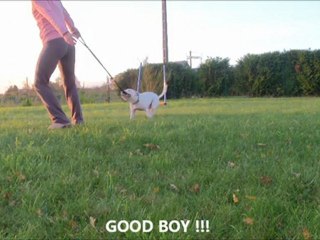 Eclipse tic tac 2012-11-13