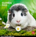 Crafts Book Review: Guinea Pigs 2013 Square 12X12 Wall Calendar (Multilingual Edition) by BrownTrout Publishers