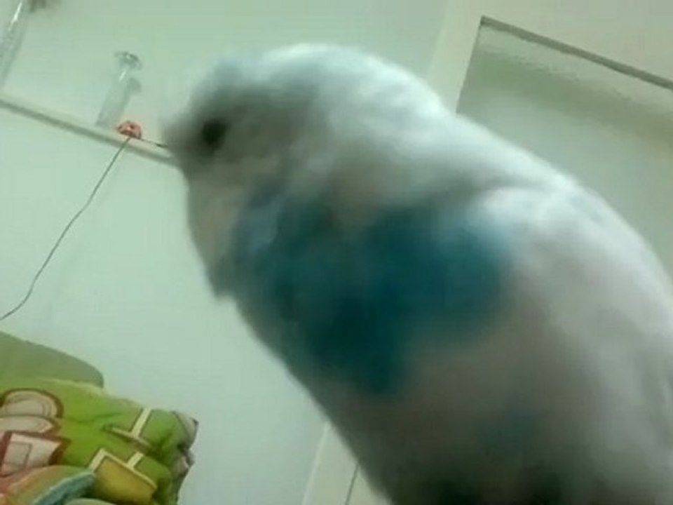 2012-11-05-017