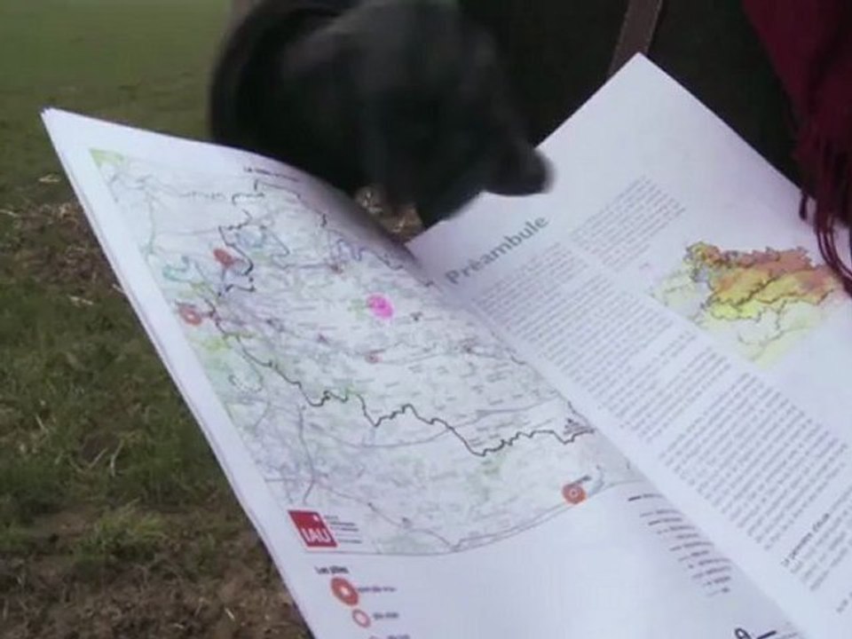 Combat de Citoynneté-France