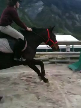 Saut 95cm avec ma jument !