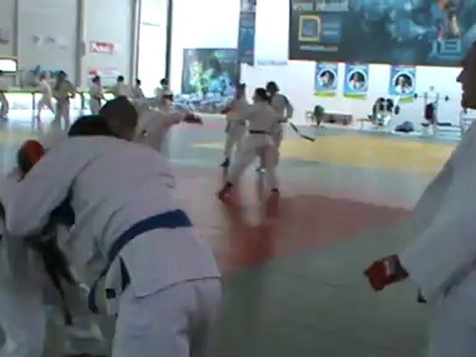 Jujitsu Rollin Philippe