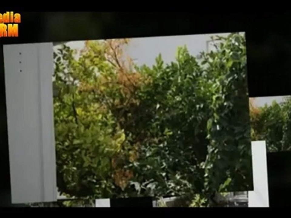 Properties for Sale in the Prefecture of Anatoliki Attiki | Real Estate