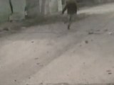 Syrian man swoops up child as warplanes close in