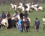 Mas du Grand Bordes à St Laurent d'Aigouze