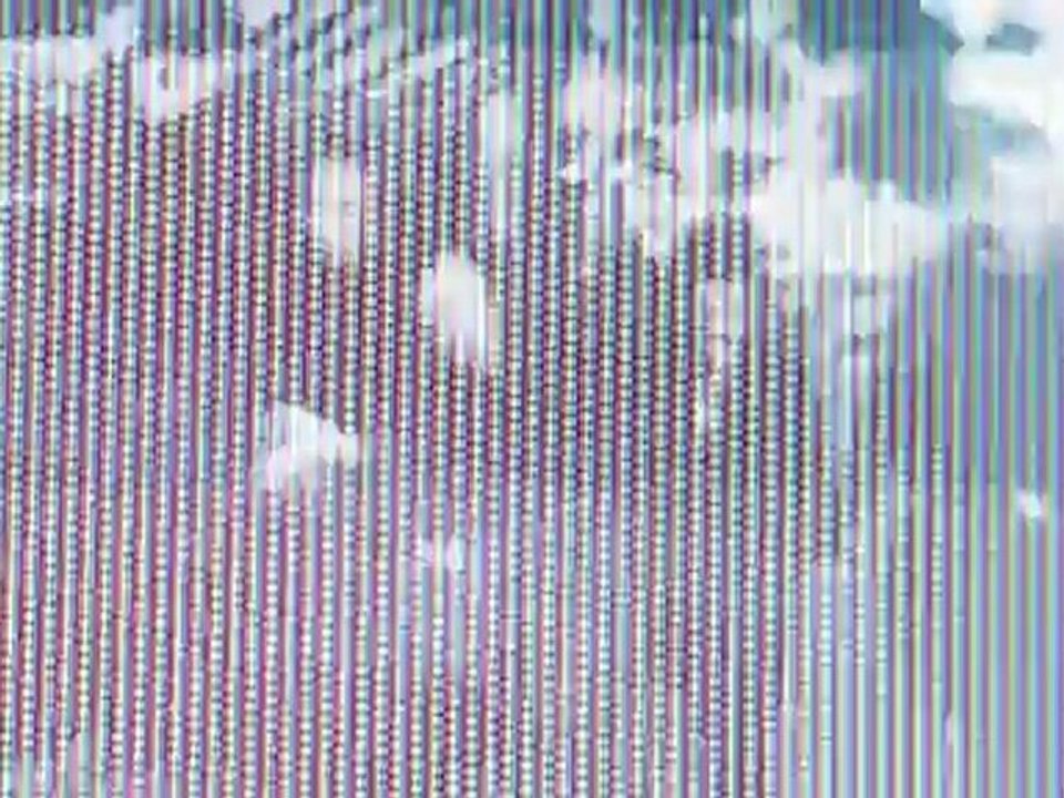 Kim dotcom - mr. president